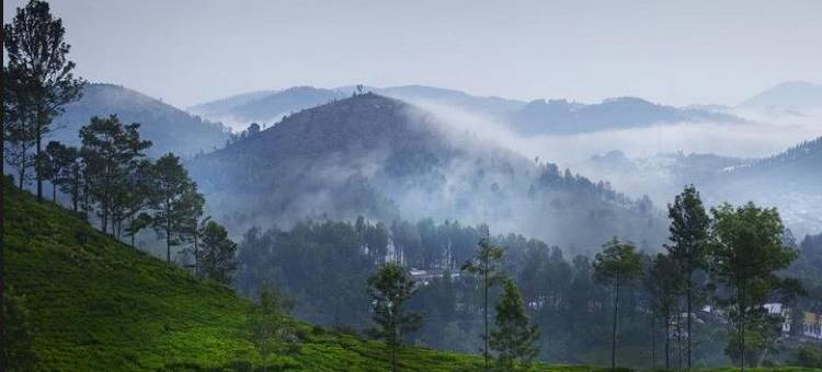 位于波拉奇的2卧室-2400平方米|带2个独立浴室(Anand Bagh)图片