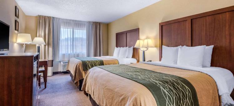 西雅图北部博塞尔舒适酒店(Comfort Inn & Suites Bothell – Seattle North)图片