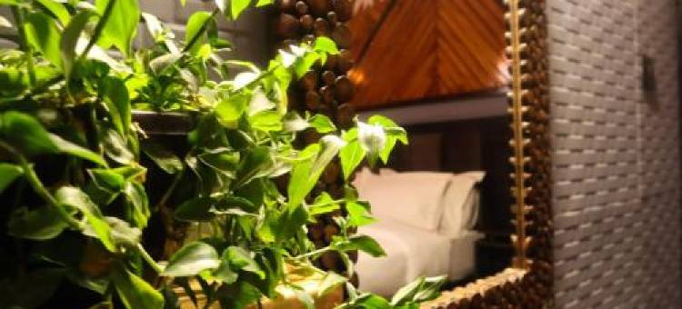 The Fox Retreat图片