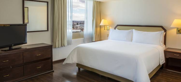 华雷斯城费斯塔酒店(Fiesta Inn Ciudad Juarez)图片