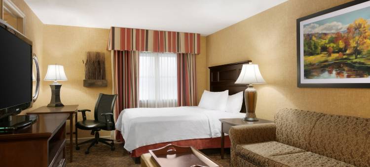 Homewood Suites by Hilton-锡拉丘兹利物浦(Homewood Suites by Hilton Syracuse - Liverpool)图片