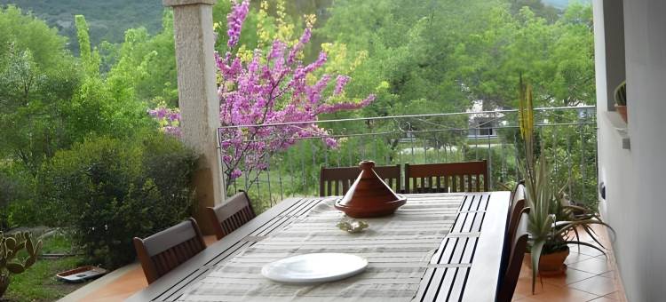 多莫米娜努米里乌(Domo Minnannu Miriu)图片