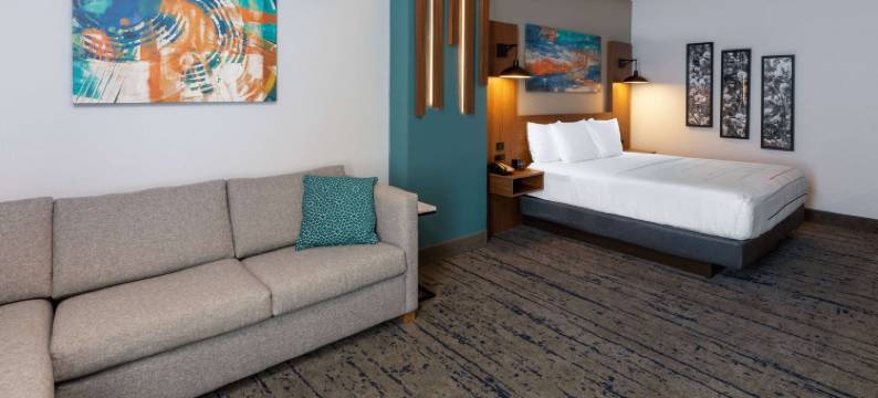 达拉斯拉昆塔温德姆酒店套房-弗赖拉辛体育场(La Quinta Inn & Suites by Wyndham Dallas - Frisco Stadium)图片