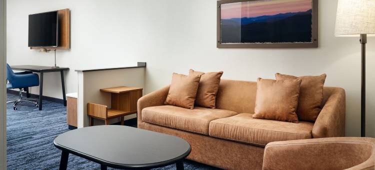 奥本欧佩莱卡万枫酒店酒店(Fairfield Inn & Suites Auburn Opelika)图片