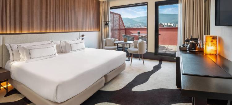 毕尔巴鄂美利亚酒店(Melia Bilbao)图片