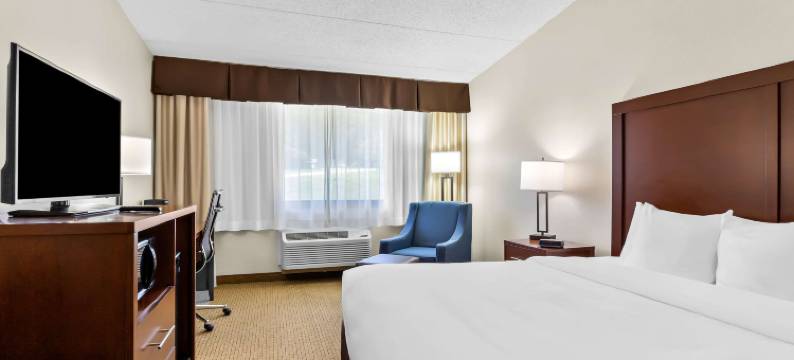 舒适酒店(Comfort Inn)图片