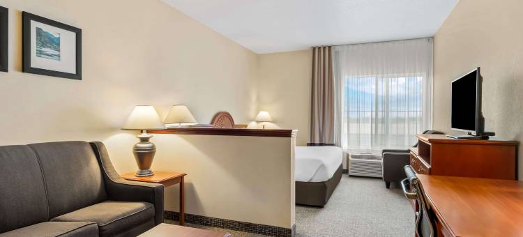 舒适套房酒店(Comfort Inn & Suites)图片