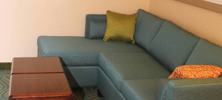 摩根敦SpringHill Suites 万豪酒店(SpringHill Suites Morgantown)图片