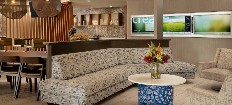 达拉斯北阿林顿万豪SpringHill酒店(SpringHill Suites Dallas Arlington North)图片