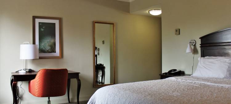 阿梅里克斯欢朋酒店(Hampton Inn Americus)图片