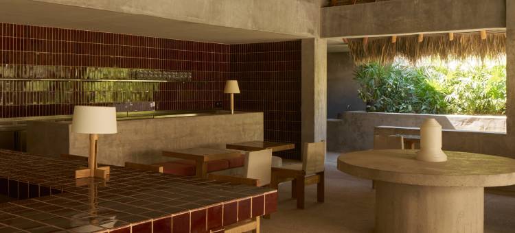 Hotel Humano, 设计酒店成员(Hotel Humano, a Member of Design Hotels)图片