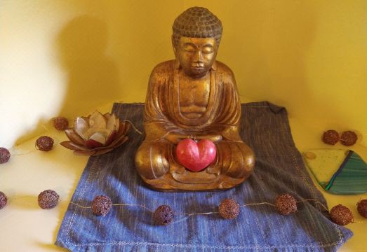 Comfortable, Classy Farmstay Studio, walk to secluded world-class Kahili Beach Hotel Overview