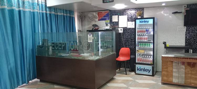 夏利玛宫酒店(Hotel Shalimar Palace)图片