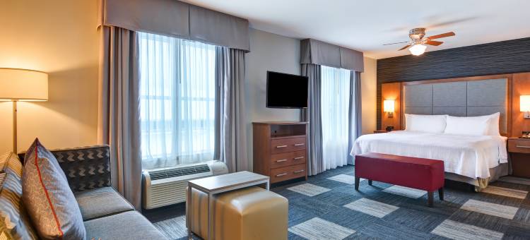 泰克里帕默@I-35Homewood Suites by Hilton(Homewood Suites by Hilton TechRidge Parmer @ I-35)图片