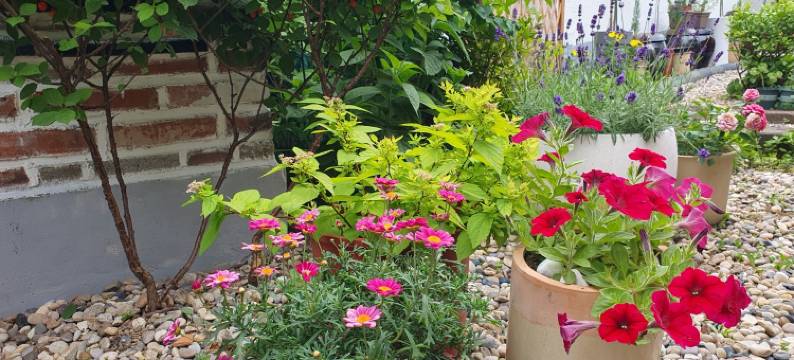 全州格里恩吉普韩屋住宿(Jeonju Geurieunjip Hanok Stay)图片