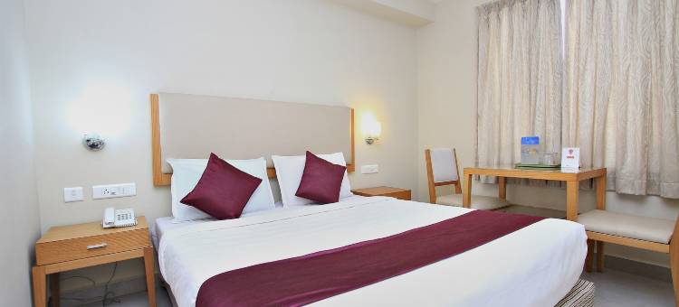 OYO 10950 山区宫殿酒店(Townhouse Hills Palace)图片