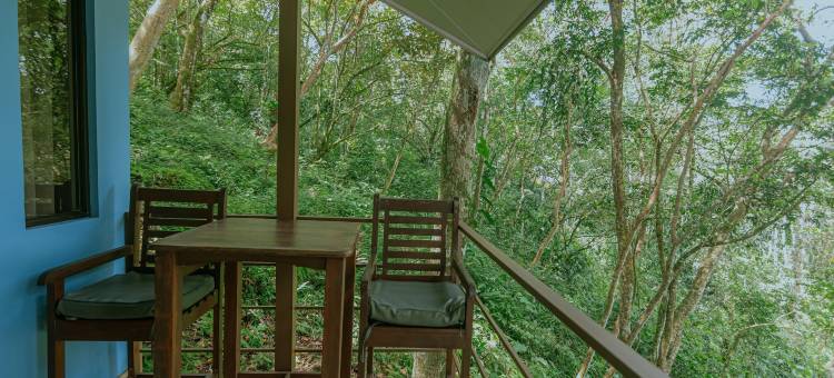 绿洲多元成人度假屋(Oasis Diverse Adult Retreat)图片