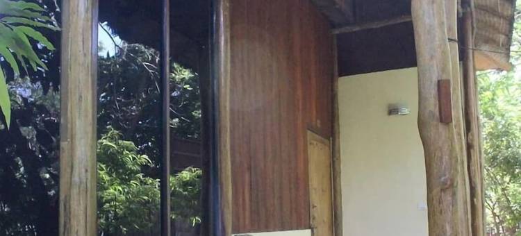 舞动的海牛(Dancing Dugong)图片