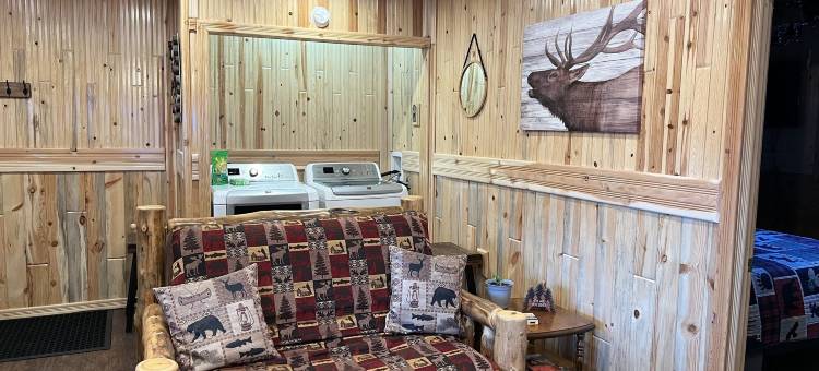 Bellamys滑雪屋(Mountain View Lodge)图片