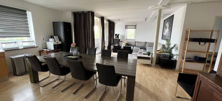 桑色散斯公寓(Apartments Zaanse Schans and Amsterdam)图片