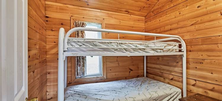 春光小屋(Dayspring Cottages)图片