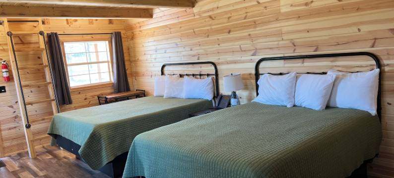 松树港住宿(Pine Haven Lodging)图片