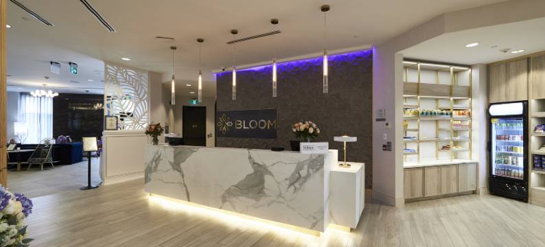 布鲁姆密西沙加，希尔顿格调精选酒店(Bloom Mississauga, Tapestry Collection by Hilton)图片