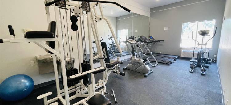 索内斯塔精选酒店休斯顿I-45春(Sonesta Essential Hotel Houston-I-45 Spring)图片