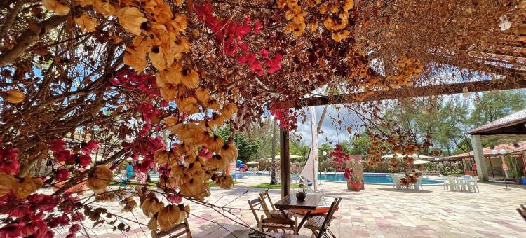 AFT下的Hotel Arena Carneiros(Arena Carneiros Hotel by Aft)图片