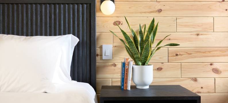 雷克斯酒店(The Rex)图片