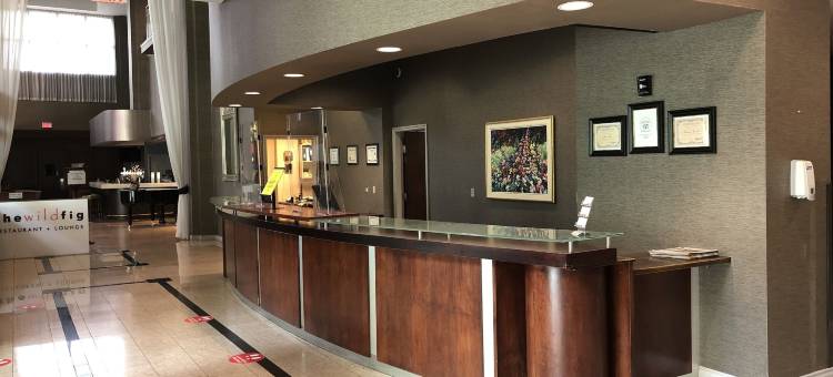 高贵林行政广场酒店(Executive Plaza Hotel & Conference Centre, Metro Vancouver)图片