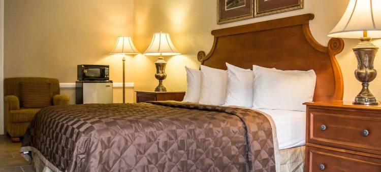 近优博城 罗德威酒店(Rodeway Inn Near Ybor City - Casino)图片