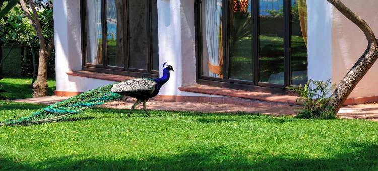 阿尔巴塔克斯公园度假村 - Ville del Parco(Arbatax Park Resort - Ville del Parco)图片