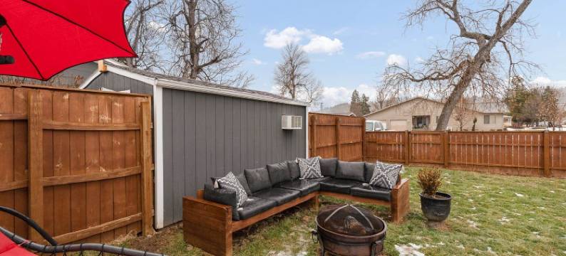 学而优则仕(Studied Perfection)图片