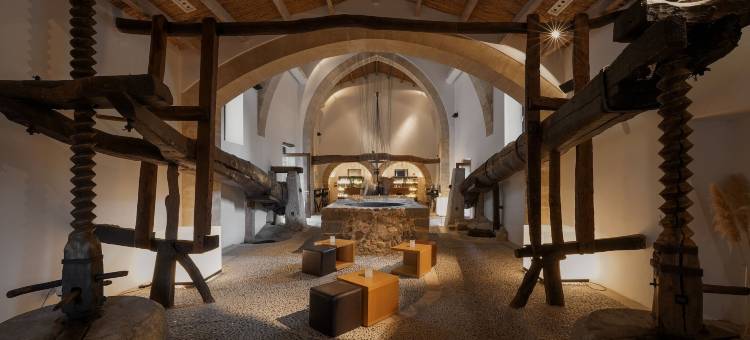 桑布鲁尔水疗酒店(Son Brull Hotel & Spa)图片