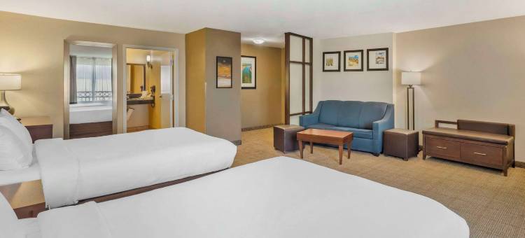 舒适套房酒店(Comfort Suites)图片