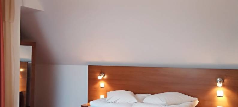 热恩尼翁旅馆(Pensiunea Riunione)图片