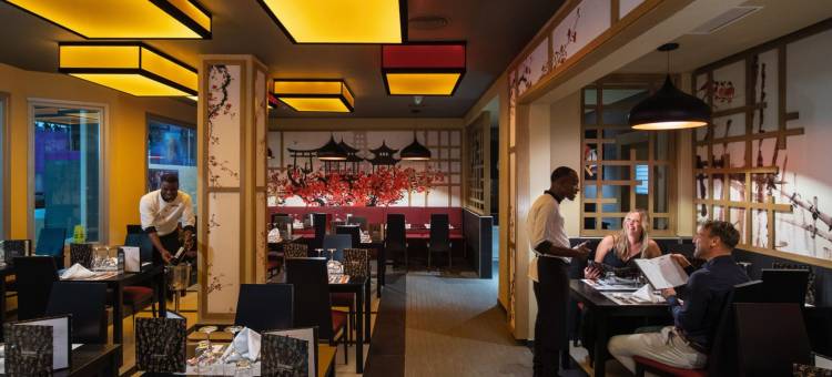 热港全包悦宜湾奢享酒店(Riu Palace Tropical Bay - All Inclusive)图片