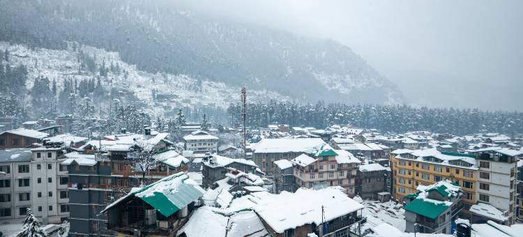 Treebo Premium 萨特瓦山景(Treebo Premium Sattva with Mountain View)图片