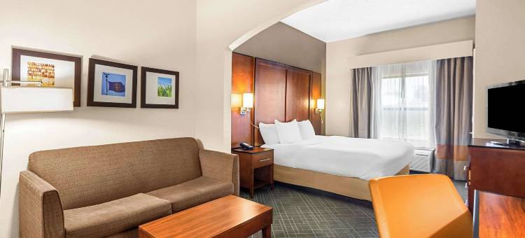 万塞讷舒适套房酒店(Comfort Suites)图片