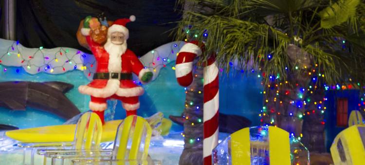 穆迪花园水疗酒店及会议中心(Moody Gardens Hotel Spa and Convention Center)图片