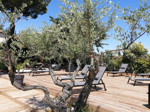 欧瑞维尼斯酒店