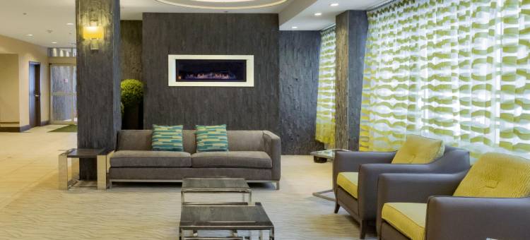 Holiday Inn 尼亚加拉瀑布(Holiday Inn NIAGARA FALLS STATE PARK ENTRY by IHG)图片