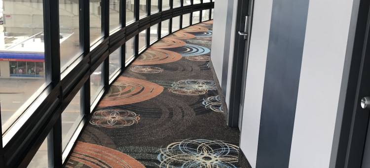 希尔顿维吉尼亚海滩海滨Spark酒店(Spark by Hilton Virginia Beach Oceanfront)图片