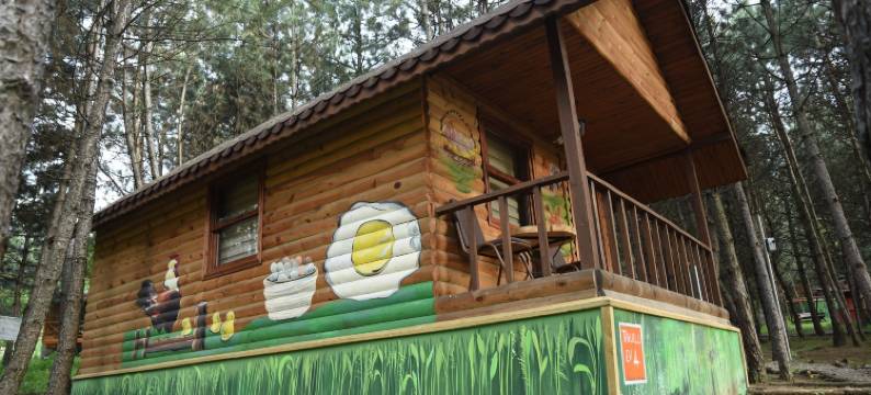 ÇAMPINARI DOĞA EVLERİ & Restaurant图片