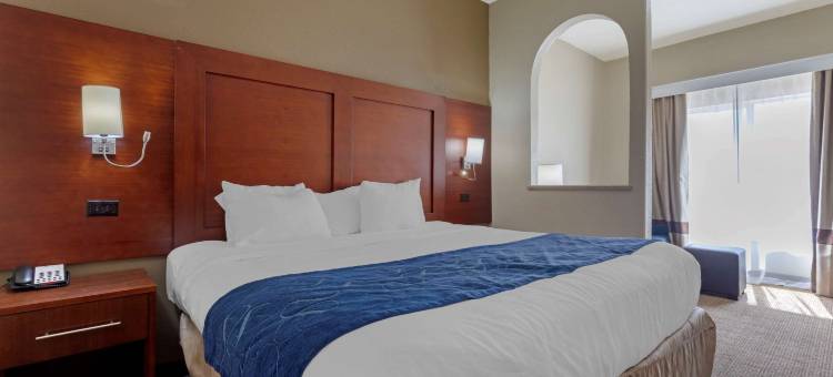 舒适套房酒店-盖恩斯维尔(Comfort Suites Gainesville)图片