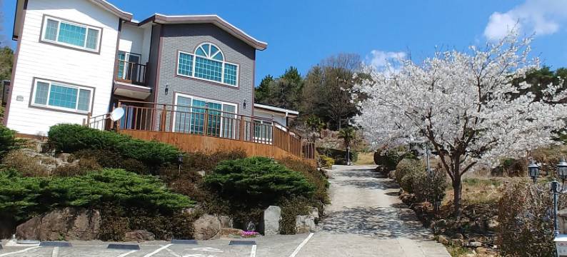 贝尔扎里旅馆(Beljari Pension)图片