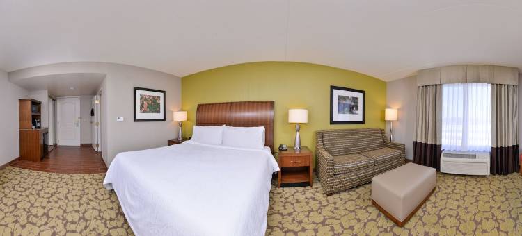 印第安纳波利斯卡梅尔希尔顿花园酒店(Hilton Garden Inn Indianapolis/Carmel)图片