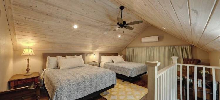 树顶河小屋(Treetop River Cabins on the Guadalupe River)图片