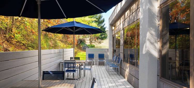 欢朋酒店罗阿诺克-霍林斯-I-81(Hampton Inn Roanoke/Hollins-I-81)图片